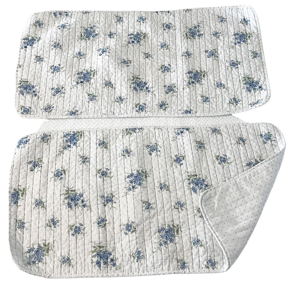 2- Rachel Ashwell Shabby Chic Pillow Sham Blue Floral Clusters Swiss Dot King